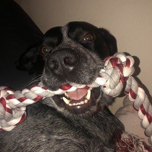 Meet your Posher, Derek